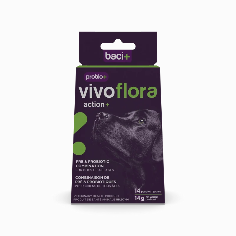 Probio+ - Vivoflora pour la Santé Intestinale & Immunitaire