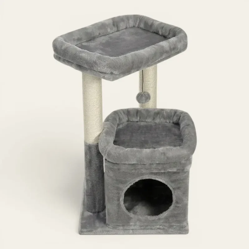 Chaton arbre à chat – Son premier territoire à lui