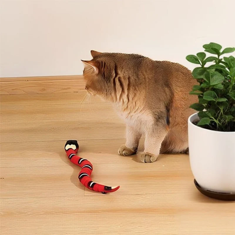 jouet pour chat | JOUSNAKE