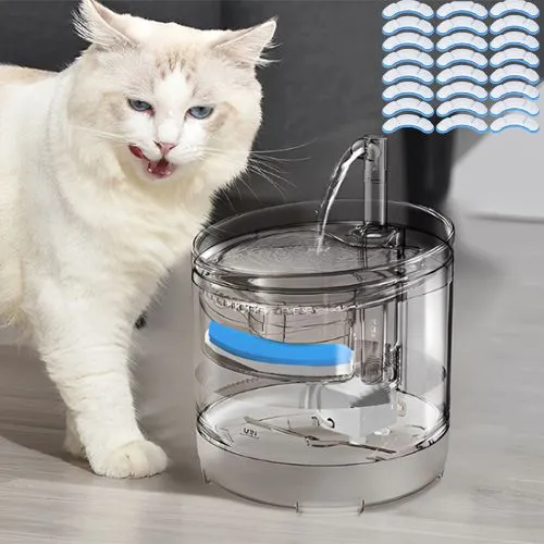 filtre fontaine chat | AQUACLAIR