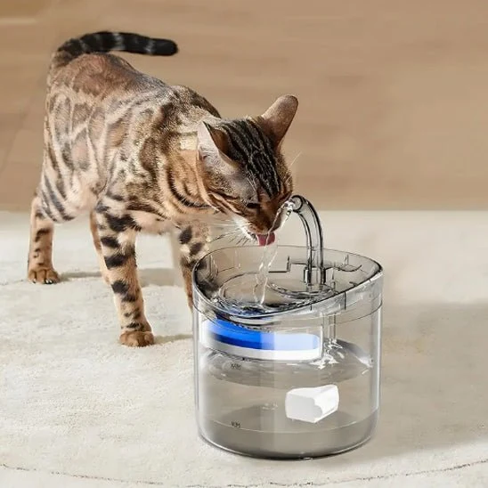 fontaine eau chat | EAUCLEAN