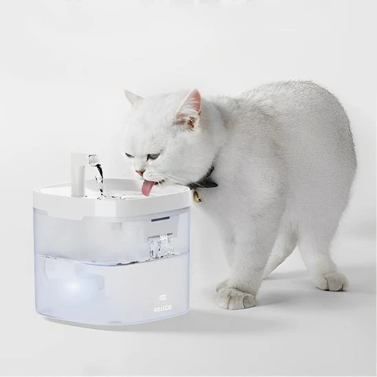 fontaine a eau chat | TRANSPARENT WATER