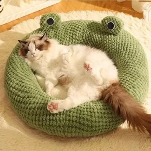 coussin chat | DODOFROG