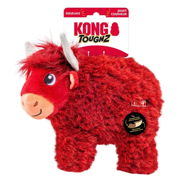 Toughz - Vache Highland