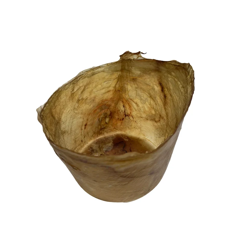 Panier de Vessie