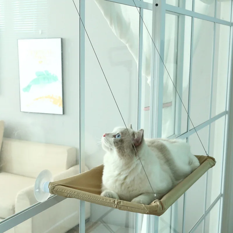 hamac chat - CatUp