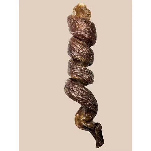 Spirale d'Oesophage de Porc