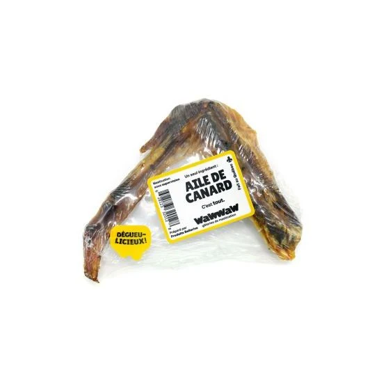 Aile de Canard