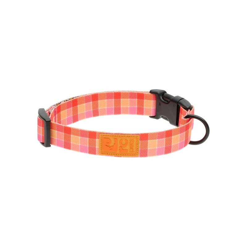Collier Éco - RC Pets