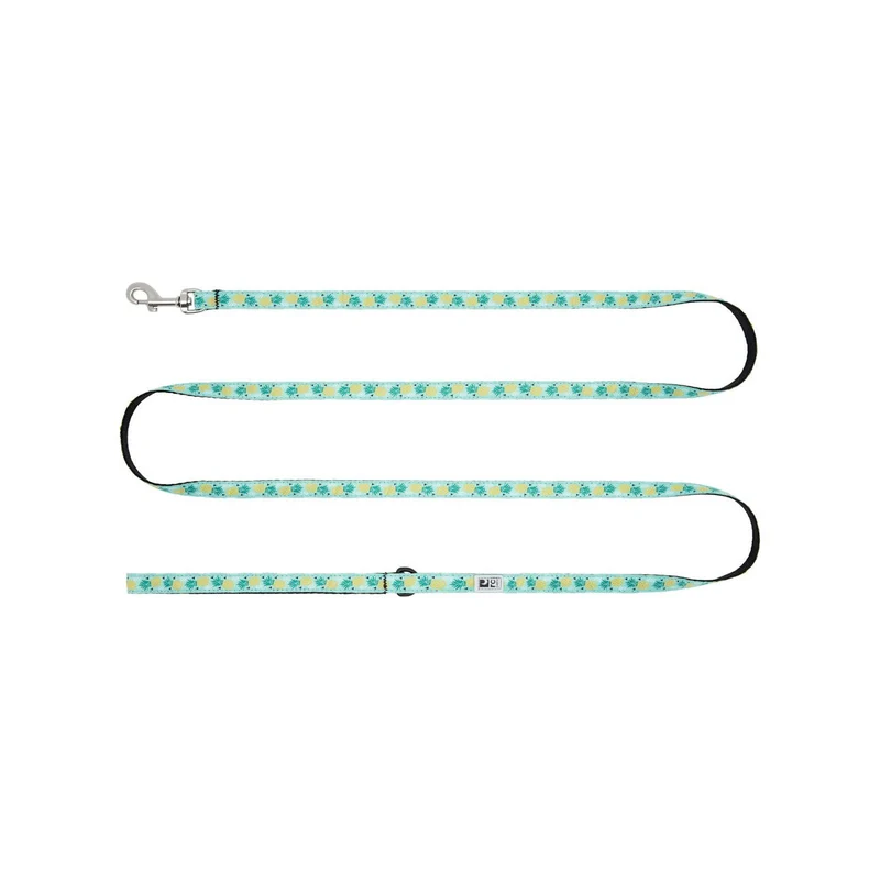 Laisse à Motifs en Nylon pour Petits Chiens - RC Pets