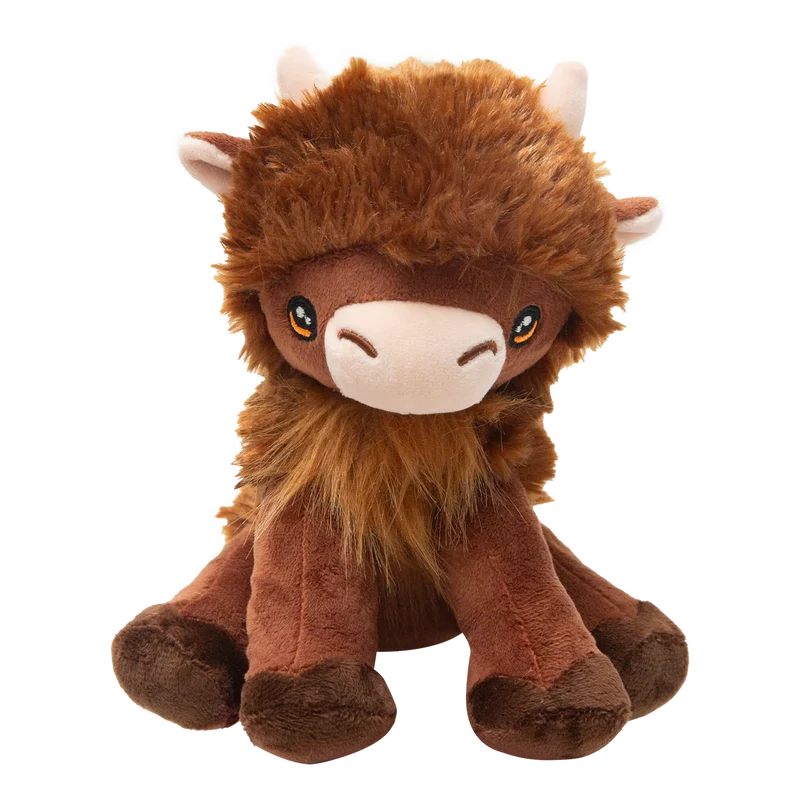 Vache Highland