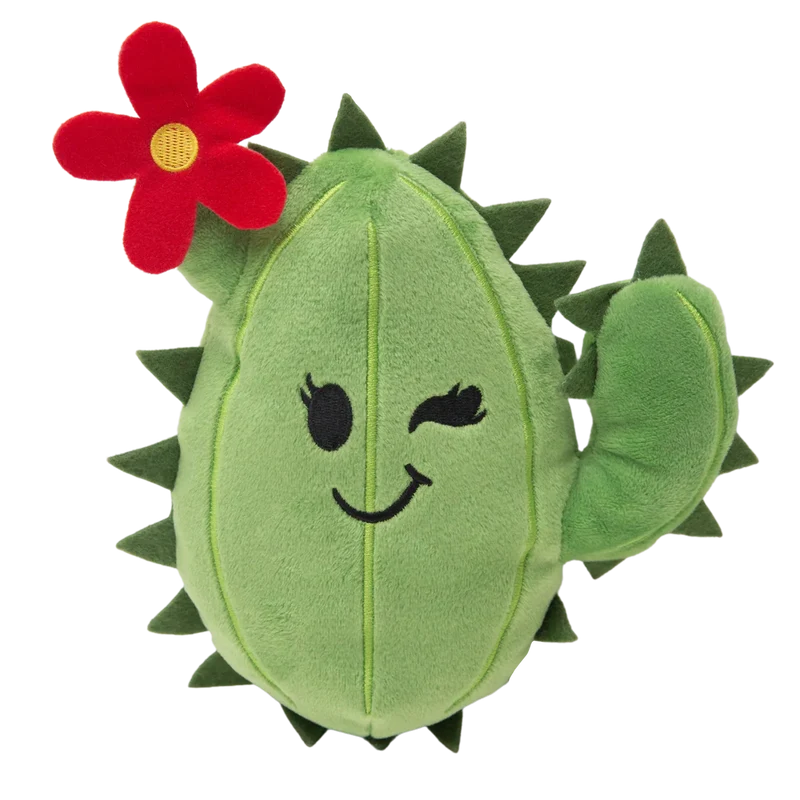 Cactus Chloé