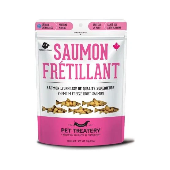 Gâteries Lyophilisées au Saumon en Bouchées d'Entraînement