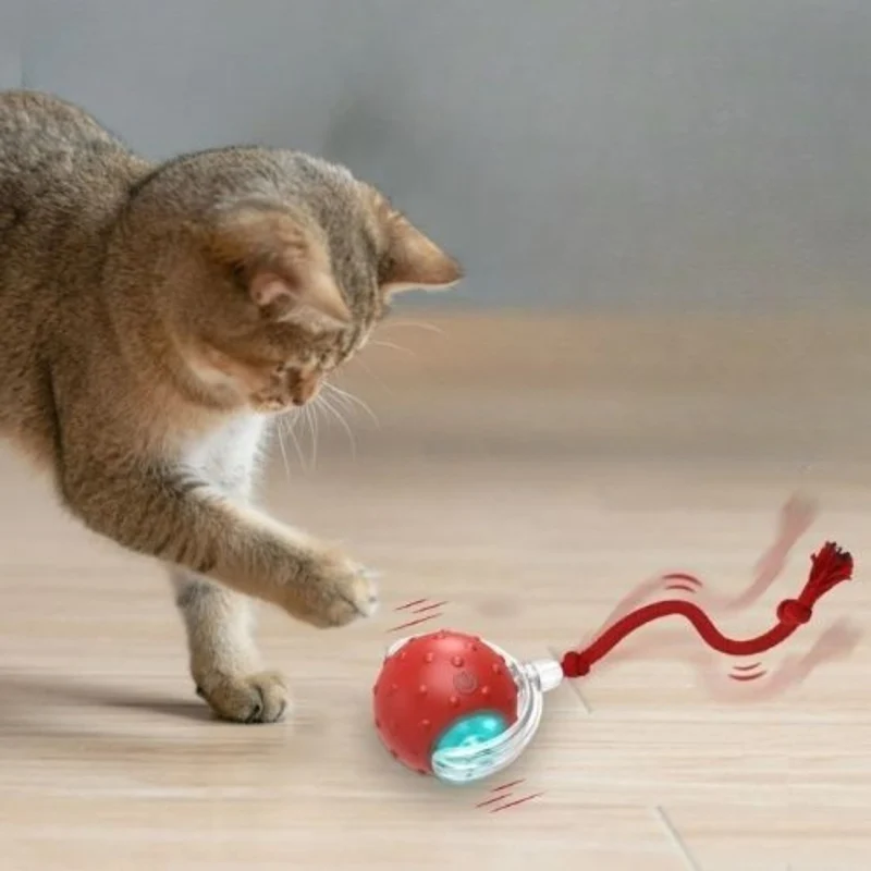jouet chat interactif |SPEEDY BALL CAT