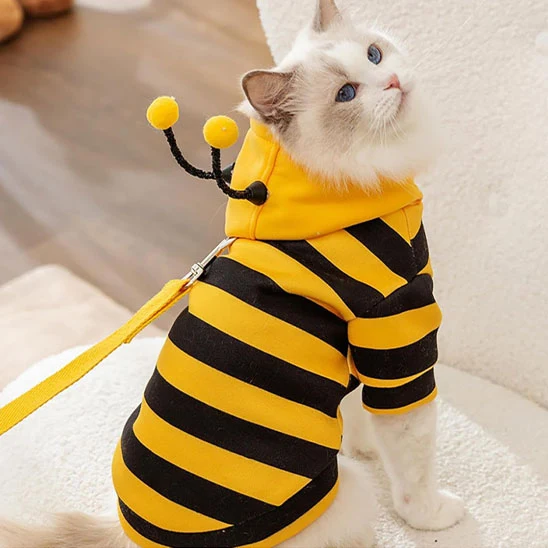 Déguisement pour Chat- Abeille