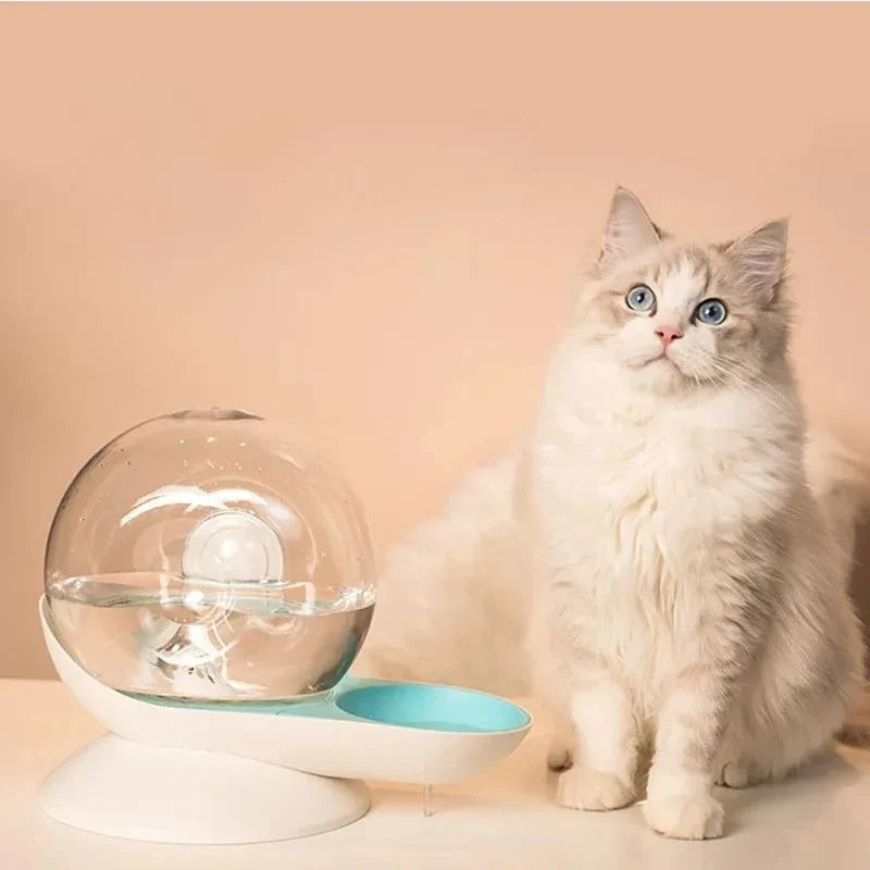 Fontaine à eau chat sans électricité - Design Escargot