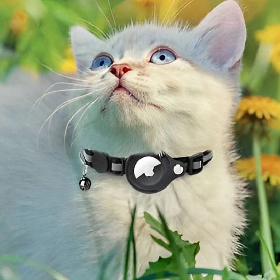 Collier chat - Support AirTag