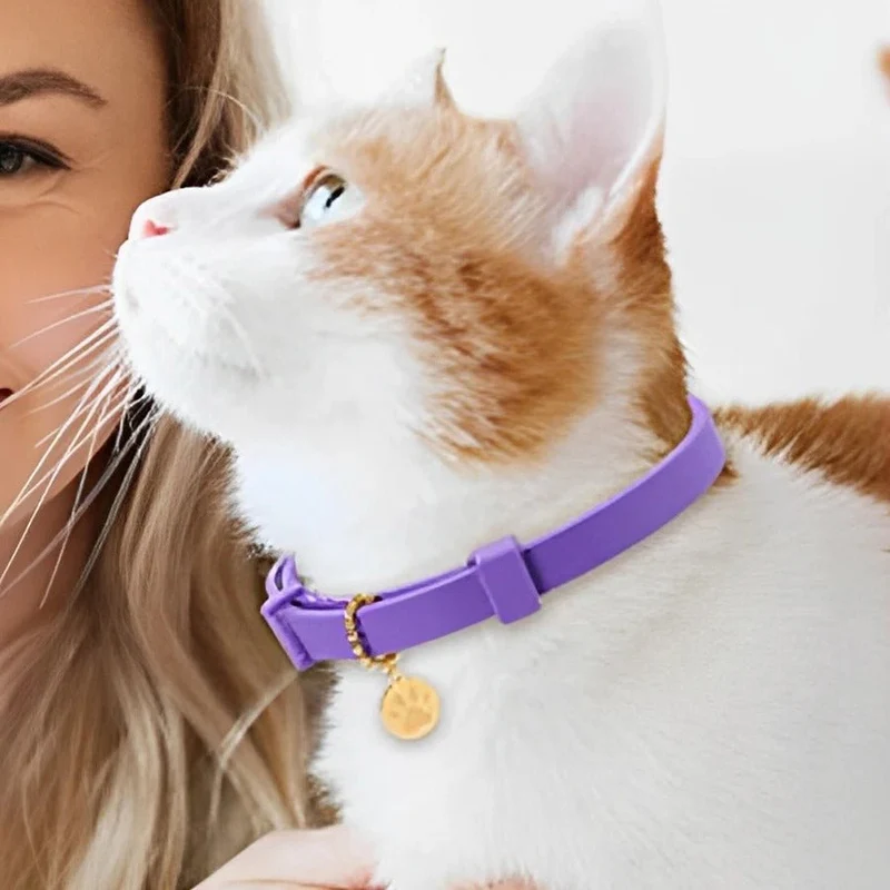 Collier anti puce chat - 8 Mois de Protection