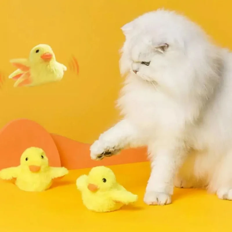 oiseau pour chat | JOUPOUSSIN