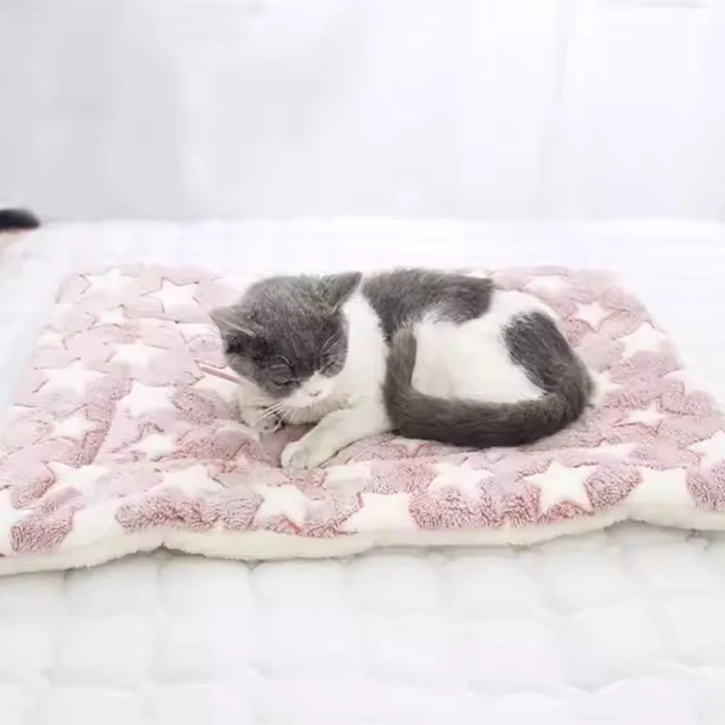couverture pour chat | DODOCOUV'