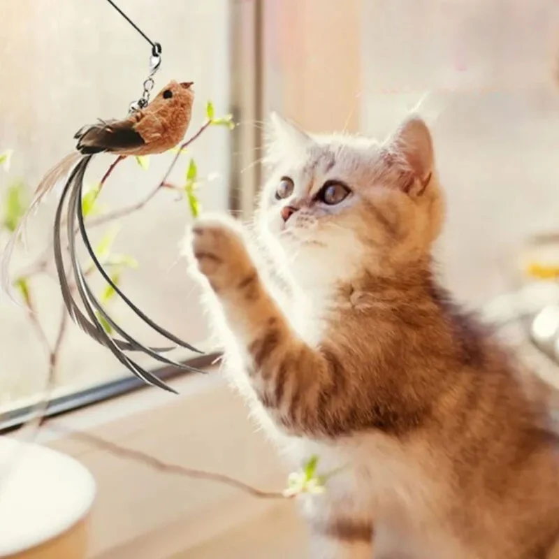 jouet interactif chat | JOUBIRD