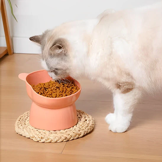 gamelle chat surélevée | Chadine