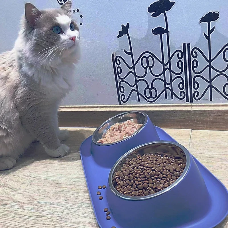 gamelle chat | chameal