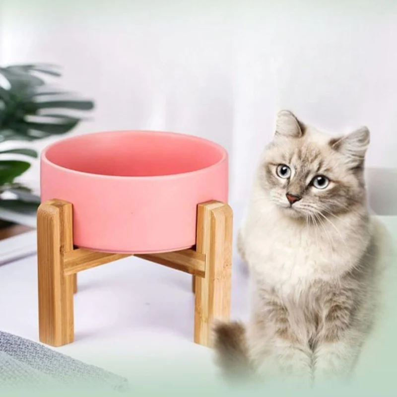 gamelle chat surélevée| chasavour