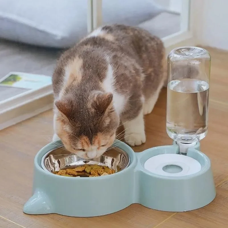 gamelle chat | Distri cool