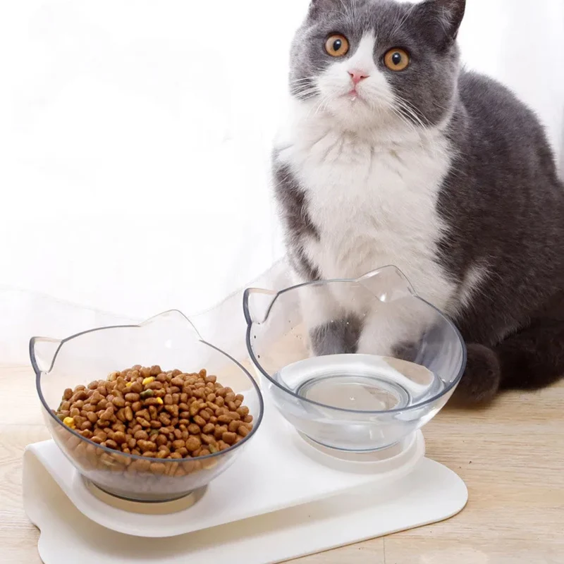 gamelle chat | RAISED BOWL