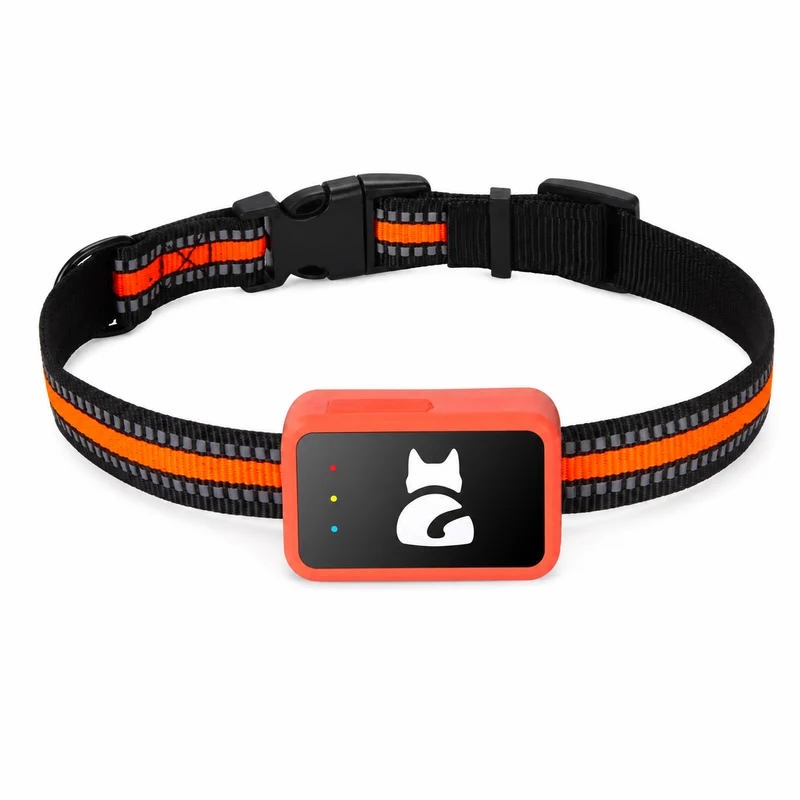Traceur GPS 4G pour chat – Suivi temps réel, sans abonnement