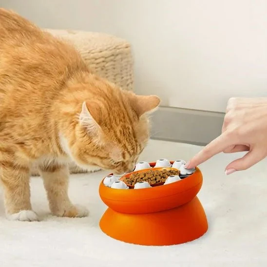 Gamelle ludique chat - Surélevée et anti-glouton