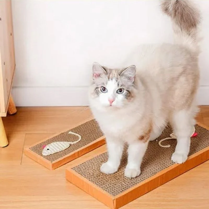 Griffoir chat - En Carton Ondulé