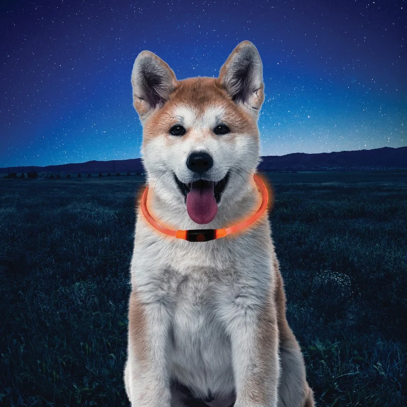 Collier Réfléchissant à Led - NiteHowl Nite Ize