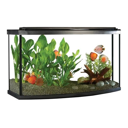 Fluval Premium Aquarium Kit with LED - 45 Bow - 170 L (45 US Gal)