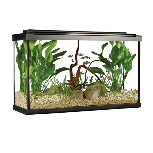 Fluval Premium Aquarium Kit with LED - 29 Tall - 110 L (29 US gal)
