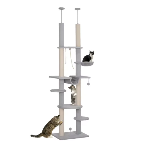 Arbre à chat réglable sol plafond 225–255 cm avec plateformes et hamac