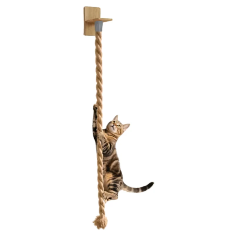 Corde murale pour chat en sisal