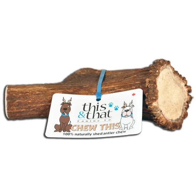 This & That Canine Co. - Chew This - Whole Antler Chew for Dogs (XS - XXL)