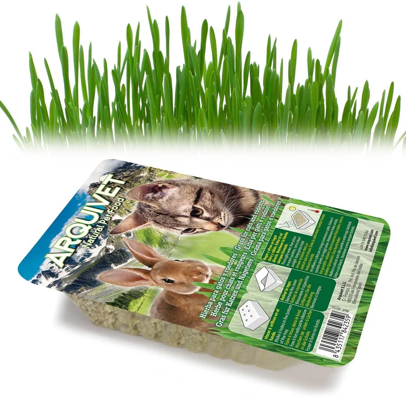 Hierba para gatos en bandeja 100 gr