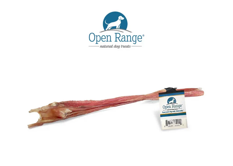 Open Range - Stick Bladder - 12''