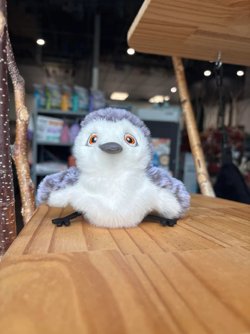 L'oizeau - Zillon - Jouet - Chat - USB - Oiseau
