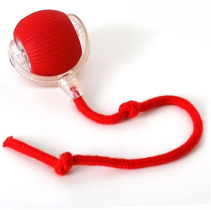 Balle interactive USB pour chat et petit chien