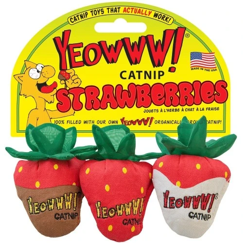 Ducky World Jouet d'herbe à chat YEOWWW! - Trio de fraises