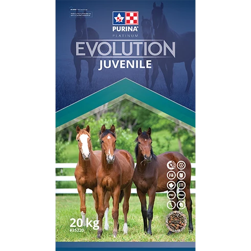 Évolution Juvénile Purina 20kg