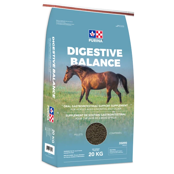 Digestive Balance Purina 20kg