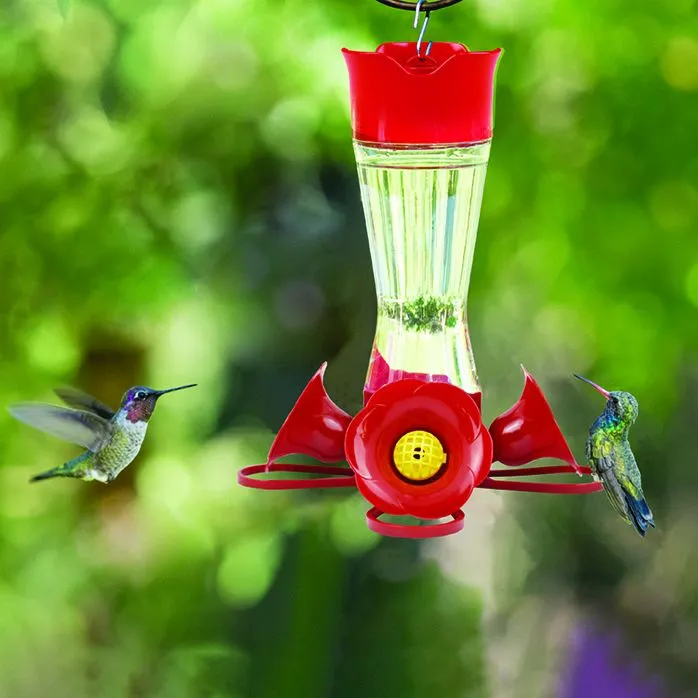 Abreuvoir à Colibris en Verre 8oz Perky-Pet