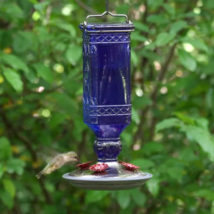Abreuvoir à Colibris en Verre Bleu Cobalt 16oz Perky-Pet
