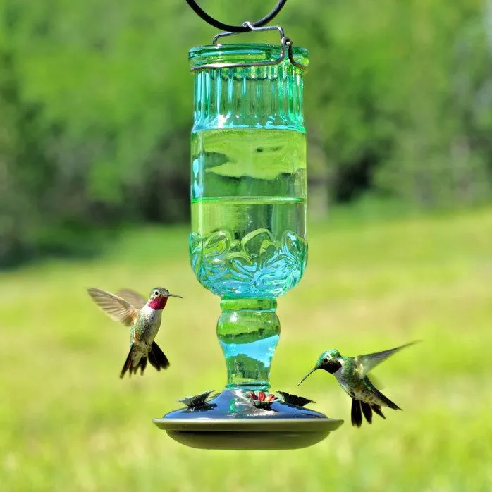 Abreuvoir à Colibris en Verre Antique 24oz Perky-Pet