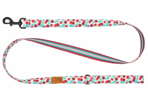 RC Pets Laisse Eco - Buffet de cerises / Rayures du verger